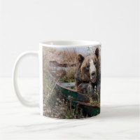 smiling bear in row boat