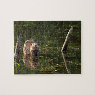 Smiling Beaver Jigsaw Puzzle