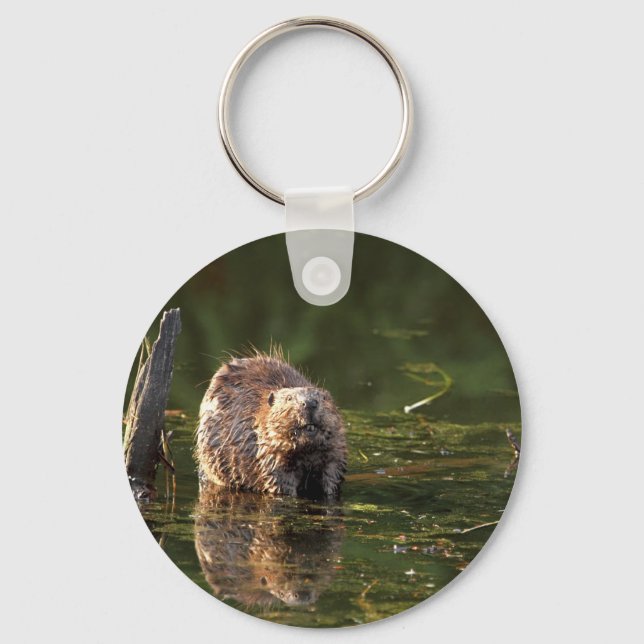 Smiling Beaver Key Ring (Front)