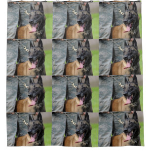 Smiling Belgian Malinois Dog Shower Curtain