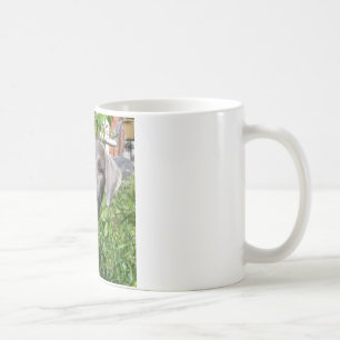 Smiling Blue Lacy Mug