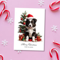 Smiling Border Collie Christmas Puppy Personalised