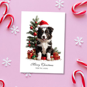 Smiling Border Collie Christmas Puppy Personalised Holiday Card