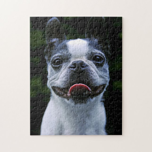 Smiling Boston Terrier Jigsaw Puzzle (Vertical)