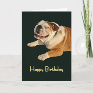 Smiling Bulldog Birthday Card