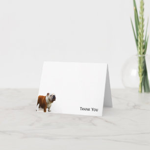Smiling Bulldog Thank You Card
