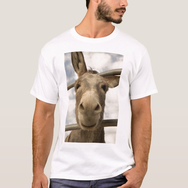 Smiling Burro T-Shirt (Front)