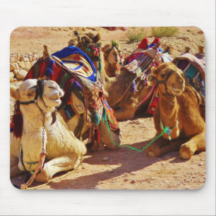 Smiling Camels Mouse Pad