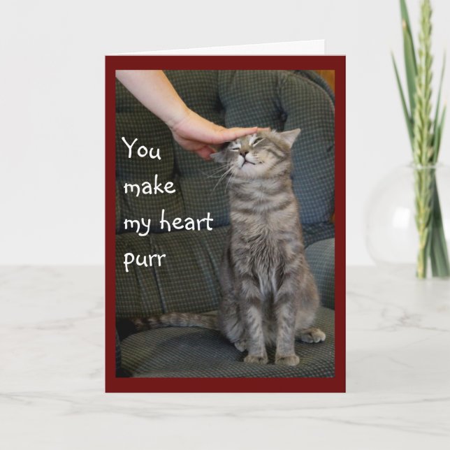 Smiling Cat Being Petted Holiday Card (Front)