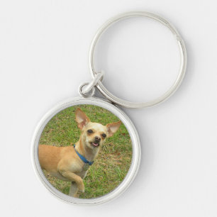 Smiling Chihuahua Keychain