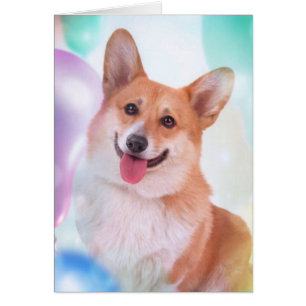 Smiling Corgi with Balloons
