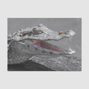 Smiling crocodile in Tortuguero - Costa Rica Tissue Paper