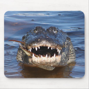 Smiling Crocodile Mouse Pad