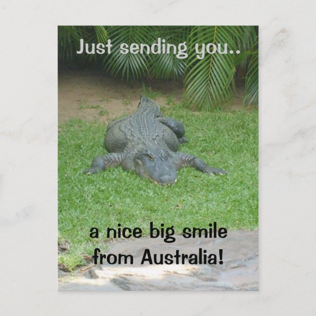 Smiling crocodile postcard (Front)
