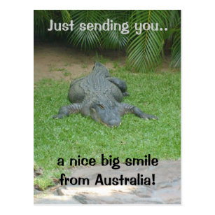 Smiling crocodile postcard
