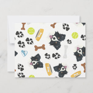 Smiling Dog Border Collie