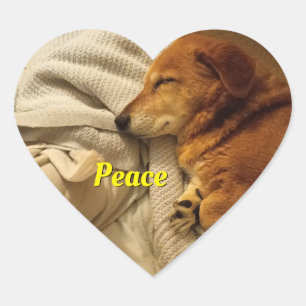 Smiling Dog Heart Sticker