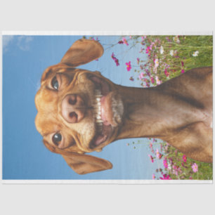 Smiling Dog in Field of Flowers Decoupage Tissue Paper