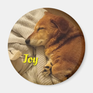 Smiling Dog Magnet