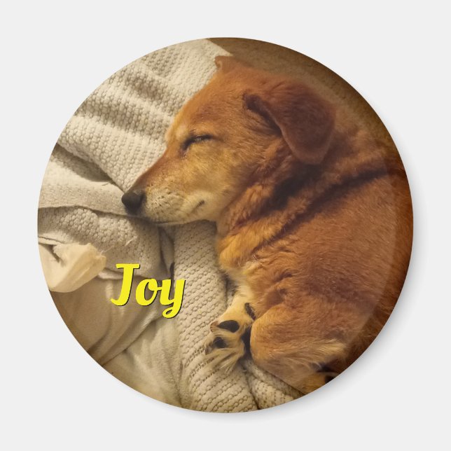 Smiling Dog Magnet (Front)