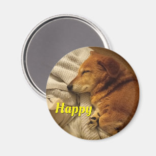 Smiling Dog Magnet