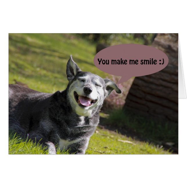 Smiling dog "you make me smile" Humor card (Front Horizontal)