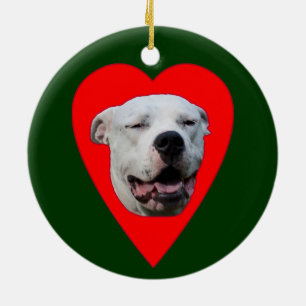 Smiling Dogo Argentino Ceramic Tree Decoration