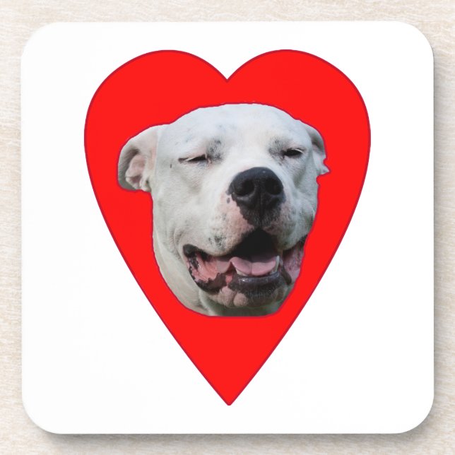 Smiling Dogo Argentino Coaster (Front)