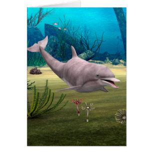 Smiling Dolphin
