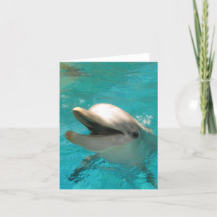Smiling Dolphin Card