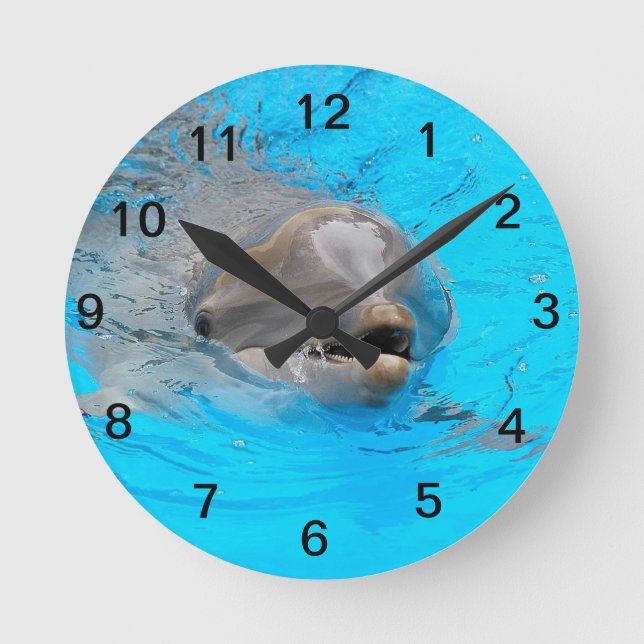 Smiling dolphin clock (Front)