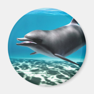 Smiling Dolphin Magnet