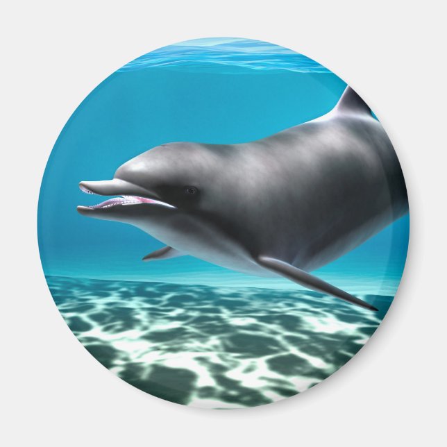 Smiling Dolphin Magnet (Front)