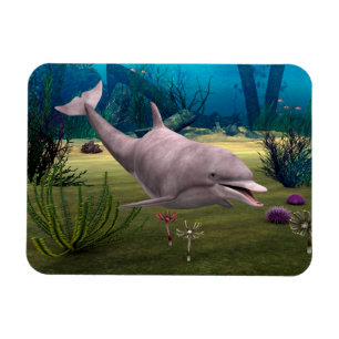 Smiling Dolphin Magnet