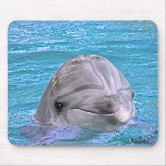 Smiling Dolphin Mouse Pad