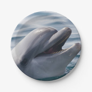 Smiling Dolphin Paper Plate