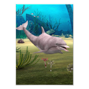 Smiling Dolphin Photo Print