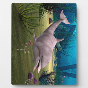 Smiling Dolphin Plaque