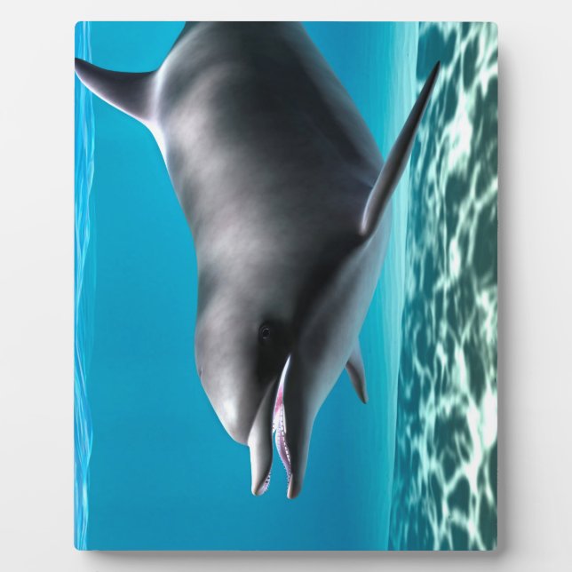 Smiling Dolphin Plaque (Front)