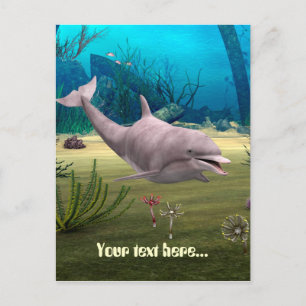 Smiling Dolphin Postcard