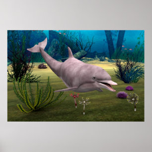 Smiling Dolphin Poster