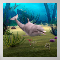 Smiling Dolphin