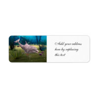 Smiling Dolphin