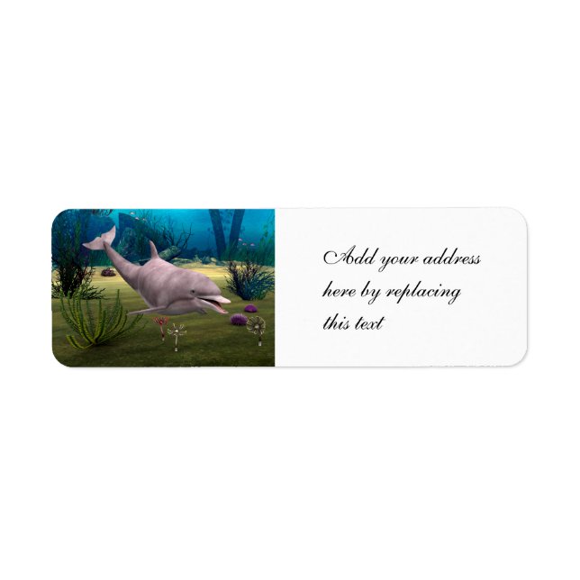Smiling Dolphin Return Address Label (Front)