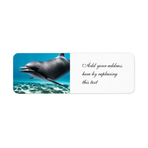 Smiling Dolphin Return Address Label