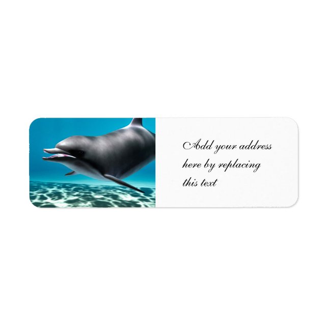Smiling Dolphin Return Address Label (Front)