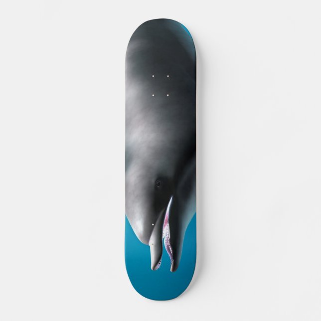 Smiling Dolphin Skateboard (Front)