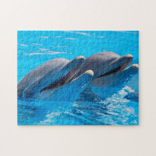 Smiling Dolphins Jigsaw Puzzle