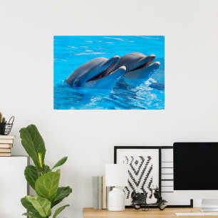 Smiling Dolphins Poster