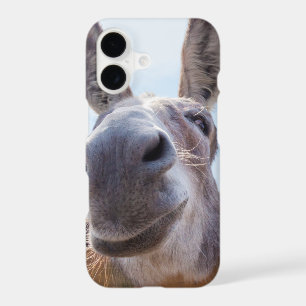Smiling Donkey